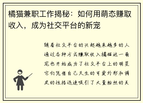橘猫兼职工作揭秘：如何用萌态赚取收入，成为社交平台的新宠